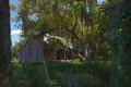 A "Florida Cracker" House