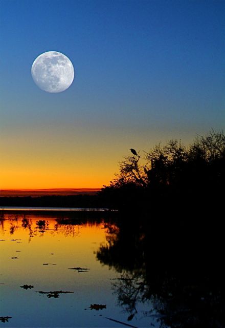 Blue Moon 1