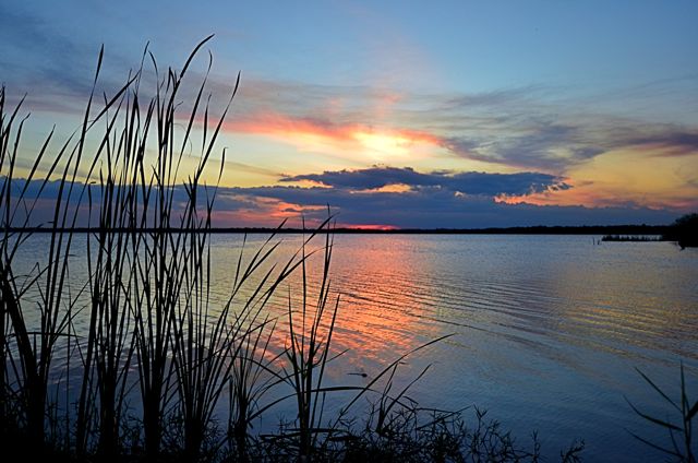 Another Tropical Sunset 71