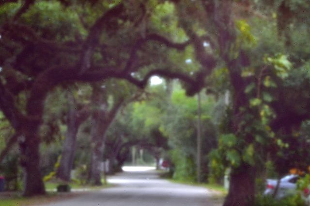 Campbell St, LaBelle Fl. Pinhole Cam