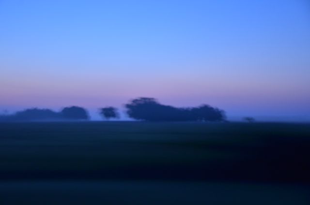 Foggy Dawn