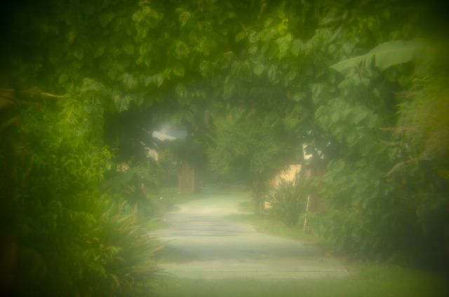 The Mellow Brick Road