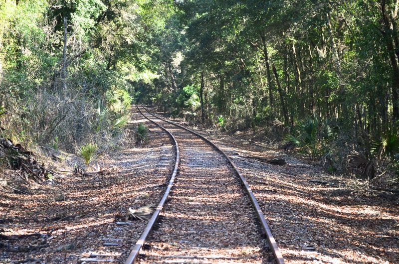 Walking the Tracks 1