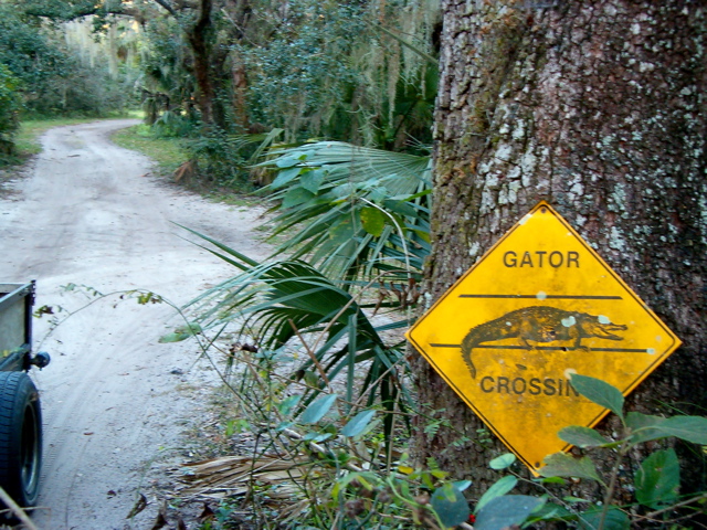 Swamp Signs.JPG