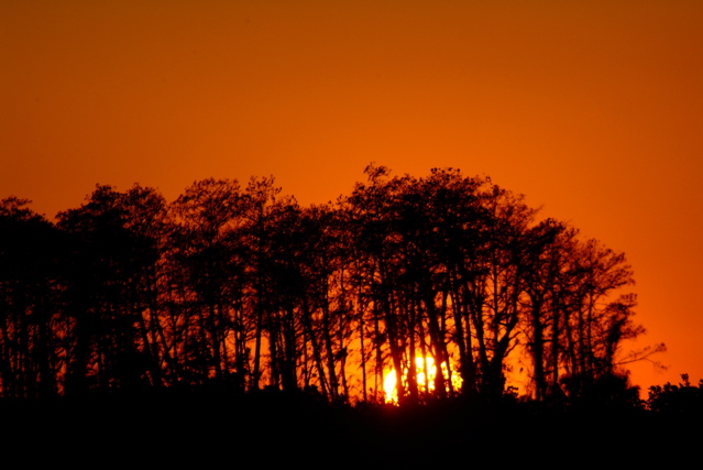 Sunset 2 18 07.JPG