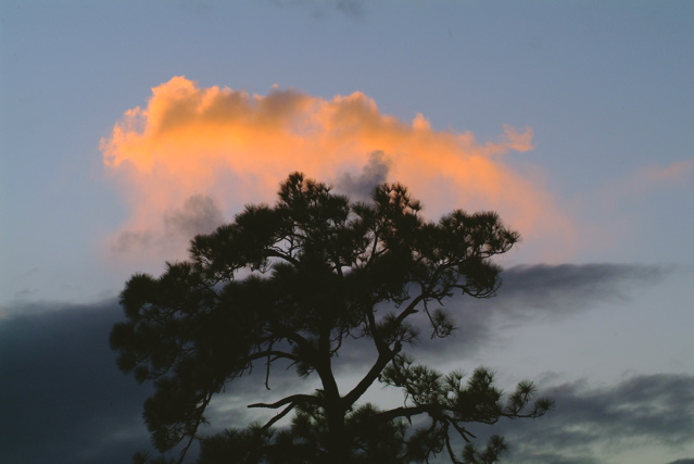 DSCF2643-2.jpg