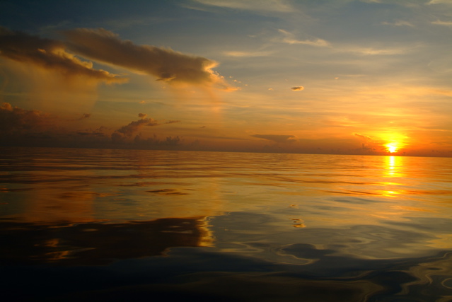 Gulf Glow