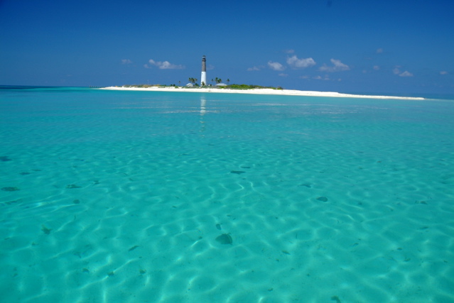 Loggerhead Key 2