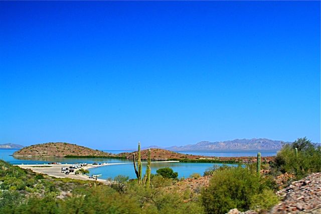Cactus Lagoon