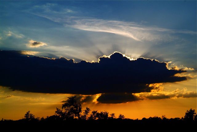 Florida Gator Sunset