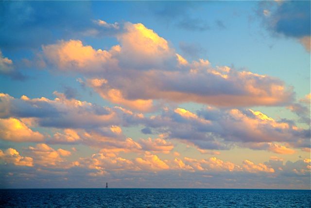 Trade Winds