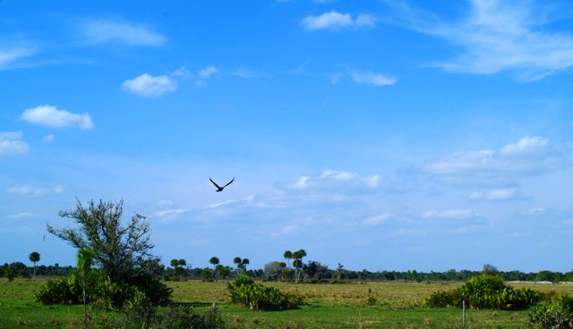 Winter in Rural Florida