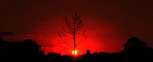 Another Tropical Sunset 2
