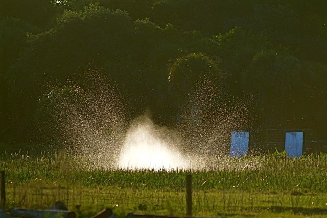 Water Meets Melon