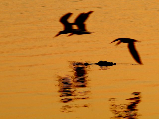 Relative Motion