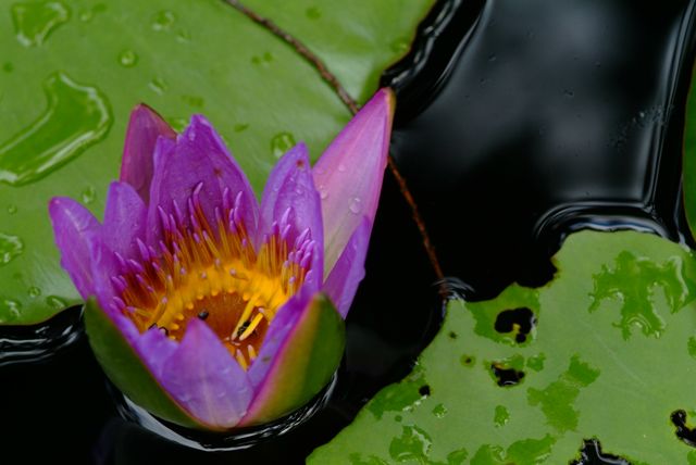 DSCF0705.jpg