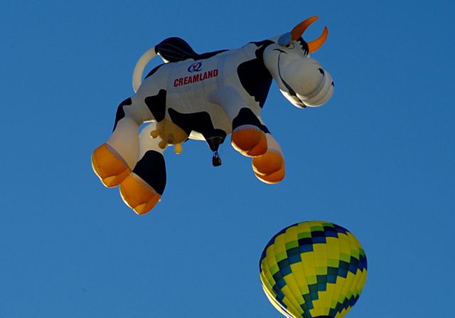 The Cow Jumped Over the B'lloon