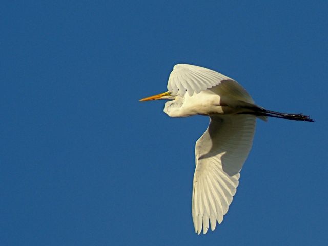 DSCF0483.jpg