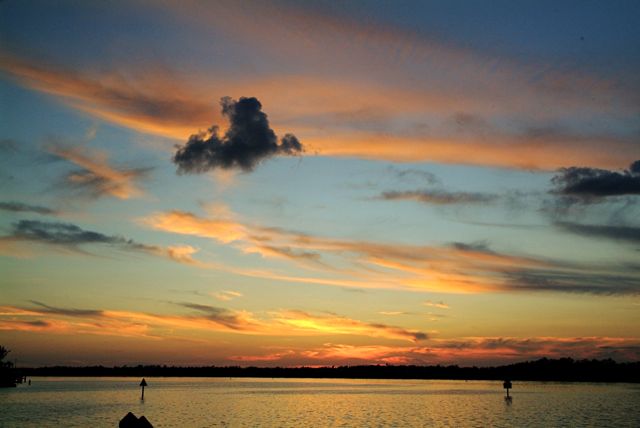 Safe Harbor