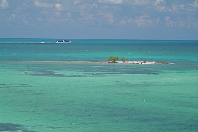 Tropical Turquoise 