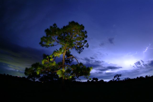 DSCF0536.jpg