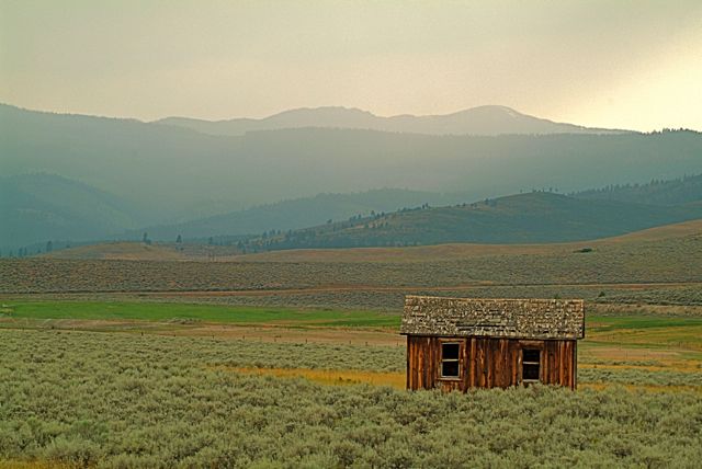 Montana Rain