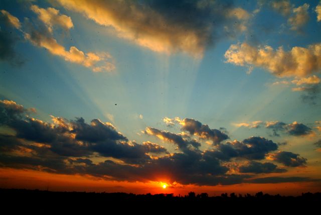Dust Bunny Storm at Sunset