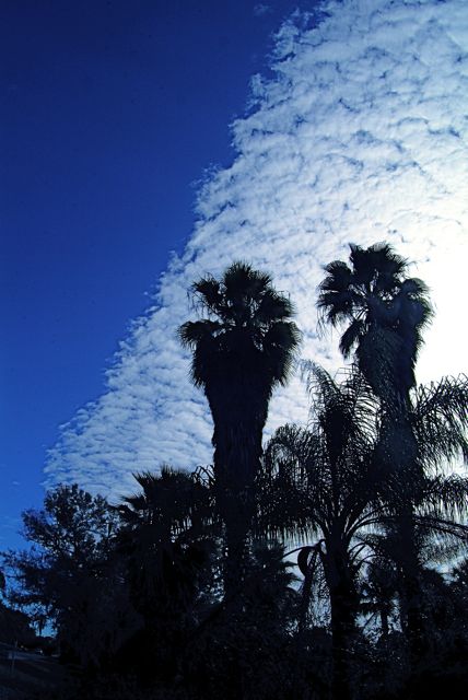 DSCF2024.jpg