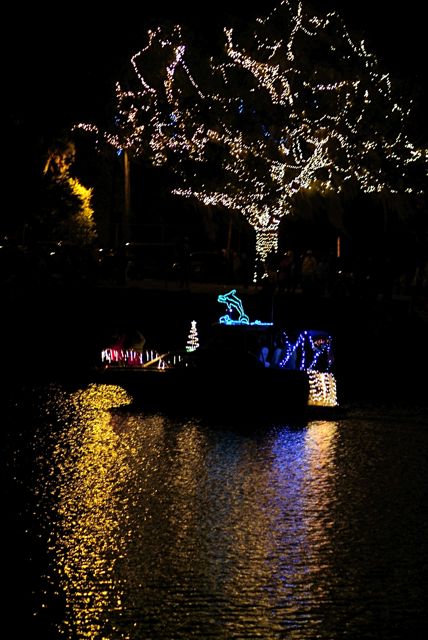 Lotsa' Lights
