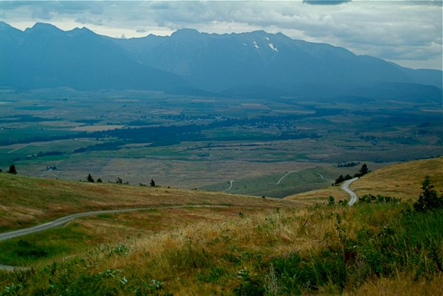 Where the Buffalo Roam