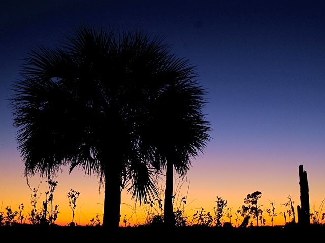 Another Tropical Sunset 6