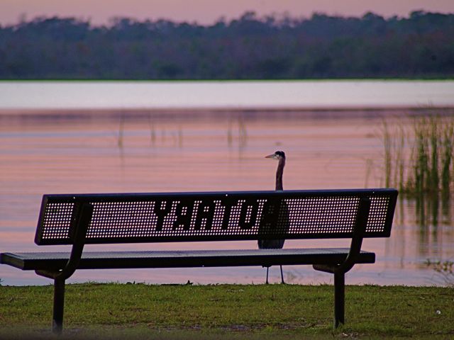 Have a Seat 