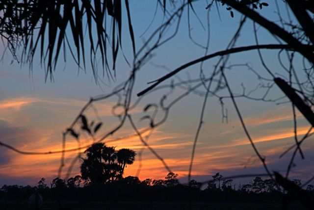 Another Tropical Sunset 9