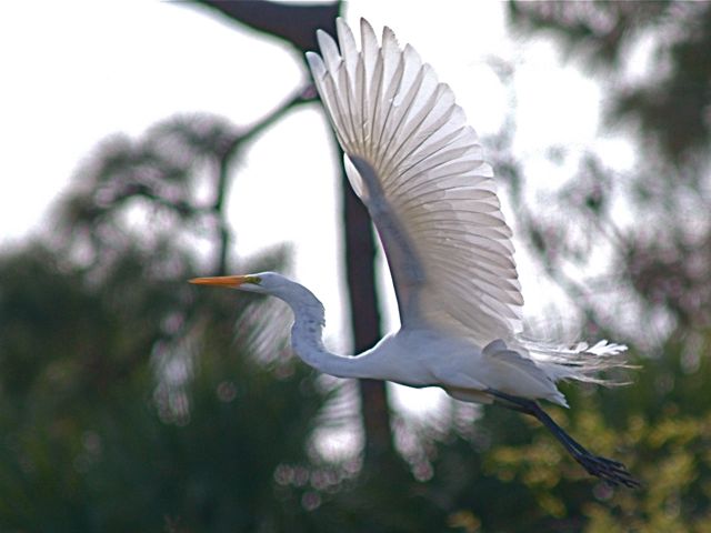 DSCF5968_2.jpg