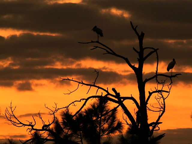 Another Tropical Sunset 11