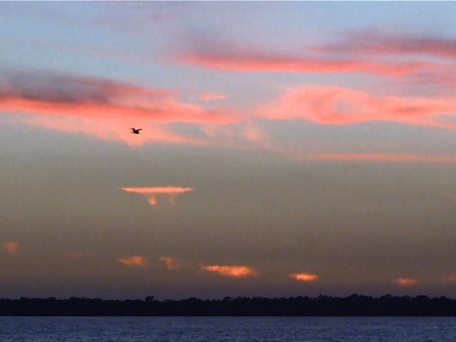 Another Tropical Sunset 13