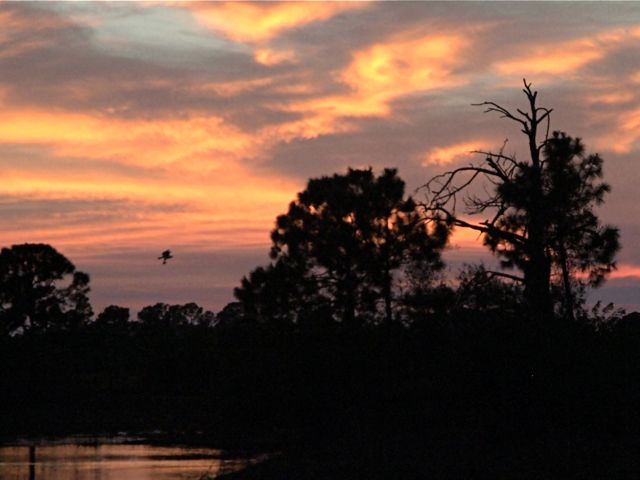 Fishing Trip