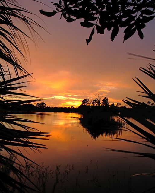 Another Tropical Sunset 15
