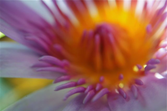 A Colorful Blur