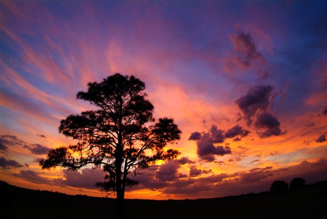 Another Tropical Sunset 19