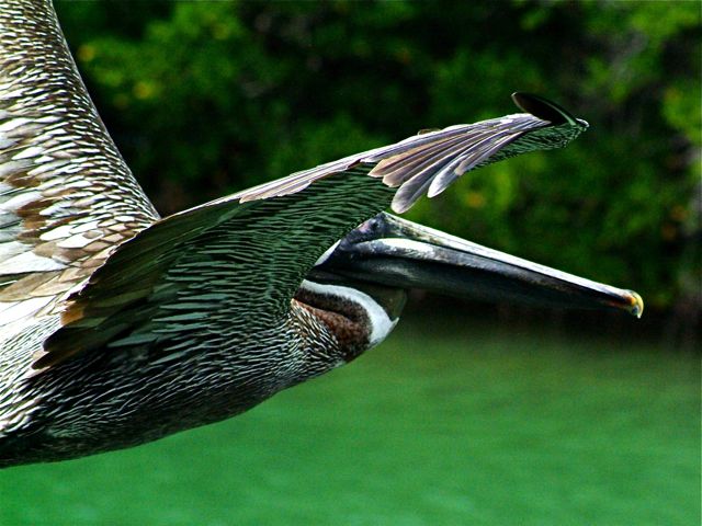 Fly-by