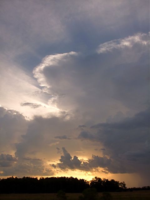 Florida Weather