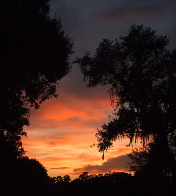 Another Tropical Sunset 21