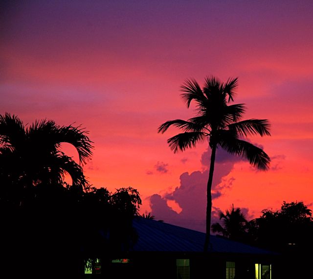 Sailor's Delight