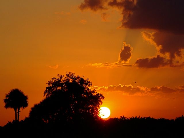 Another Tropical Sunset 34