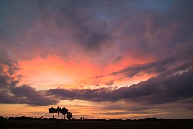 Another Tropical Sunset 37