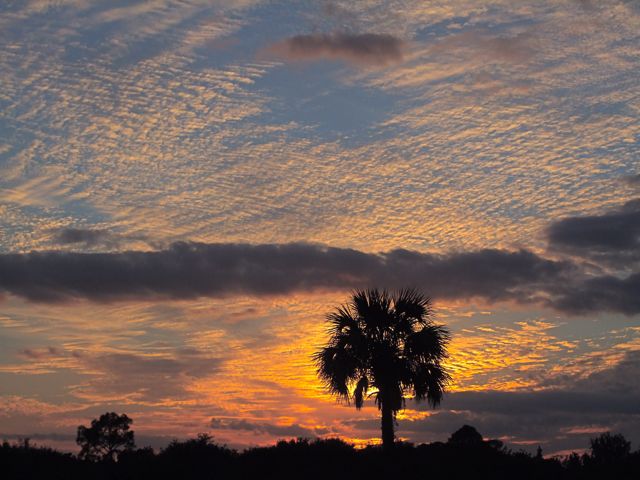Another Tropical Sunset 38