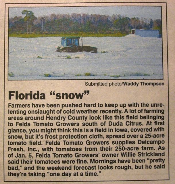 Florida Snow 2