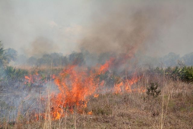 "Controlled" Burn