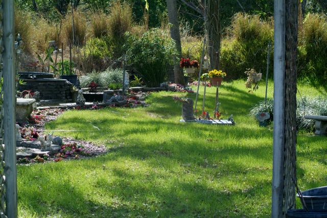 Winter Garden